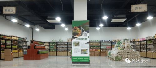 貴州戶戶達 以農產品展示體驗中心為橋，守護家鄉風味，服務會務展覽